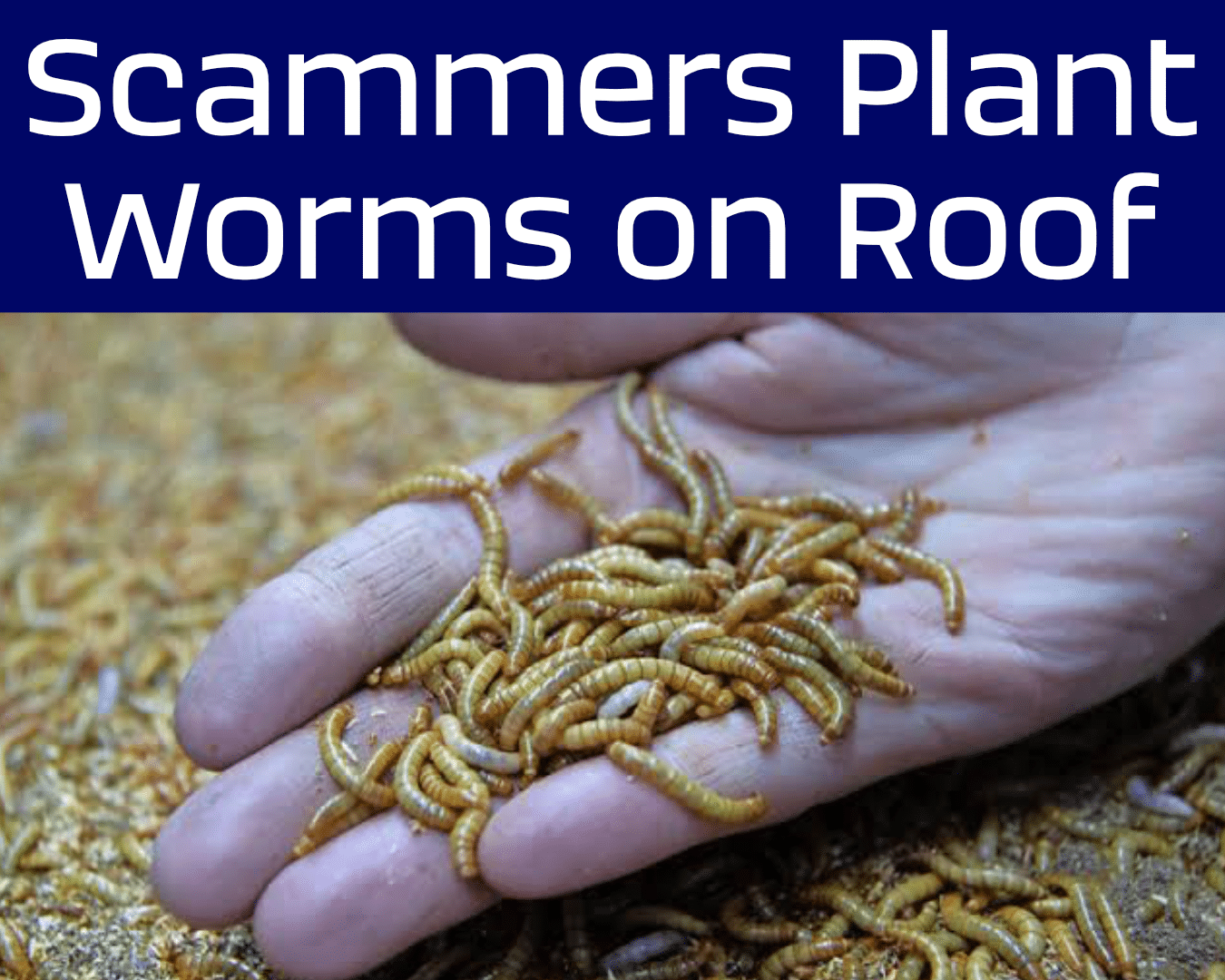 roof scammers worms