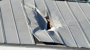 ice chunk crashes through roof in palm coast florida