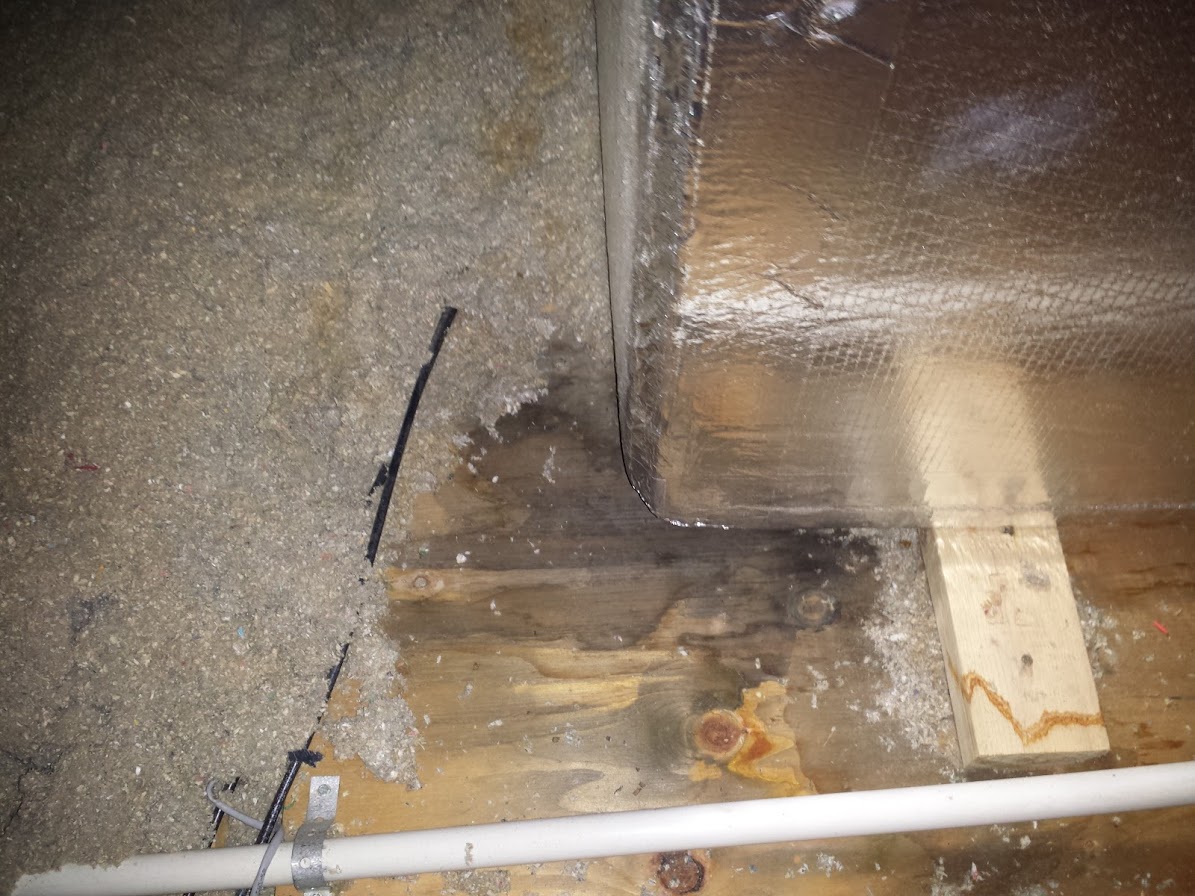 How to Find a Roof Leak