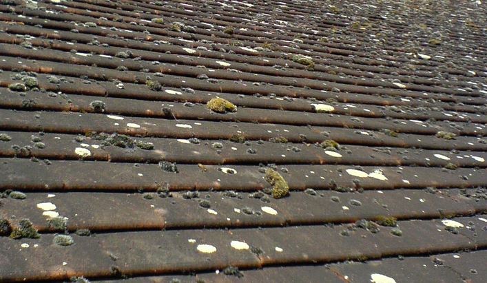 roof cleaning business name ideas