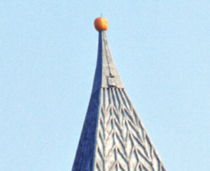 cornell pumpkin closeup