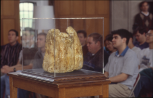 Cornell pumpkin on display