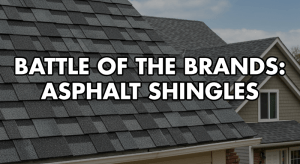 2025 shingle comparison